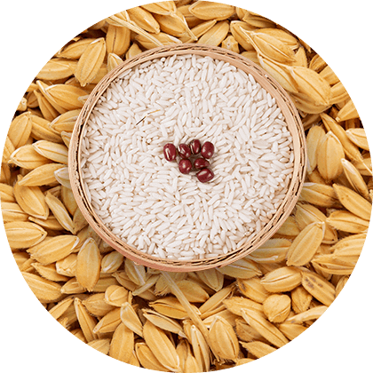 八大核心競爭優勢